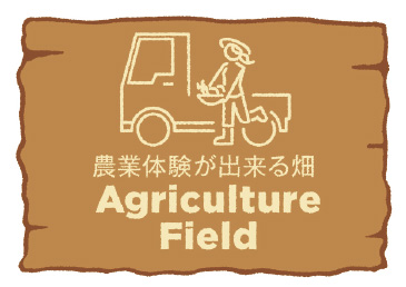 農業体験が出来る畑 Agriculture Field