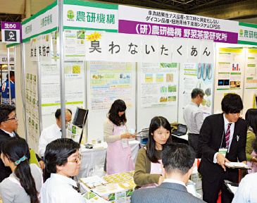 ※写真は平成27年度のものです。