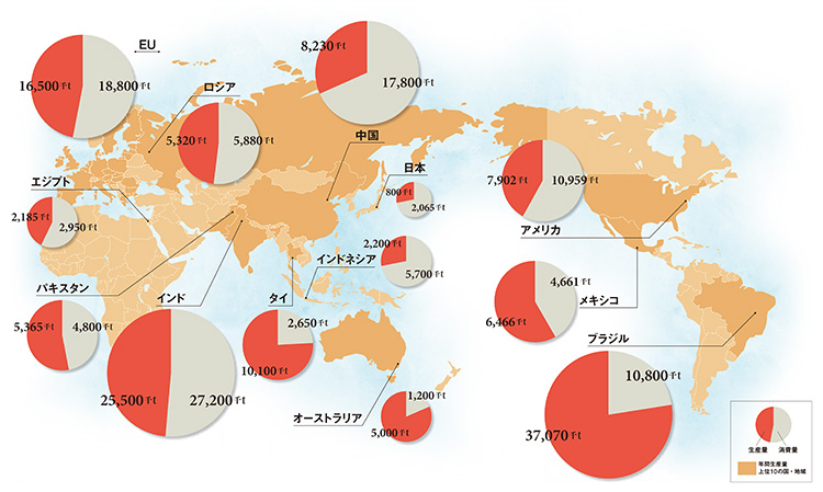生産量と消費量で見る世界の砂糖事情