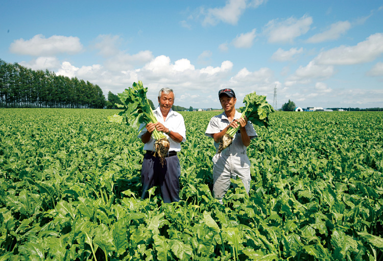 2代目の辻勇さんと3代目の敦さん。先代の時代に20~30アールだったてん菜畑は11ヘクタールに。