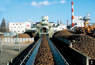 工場内に運ばれるたくさんのてん菜。