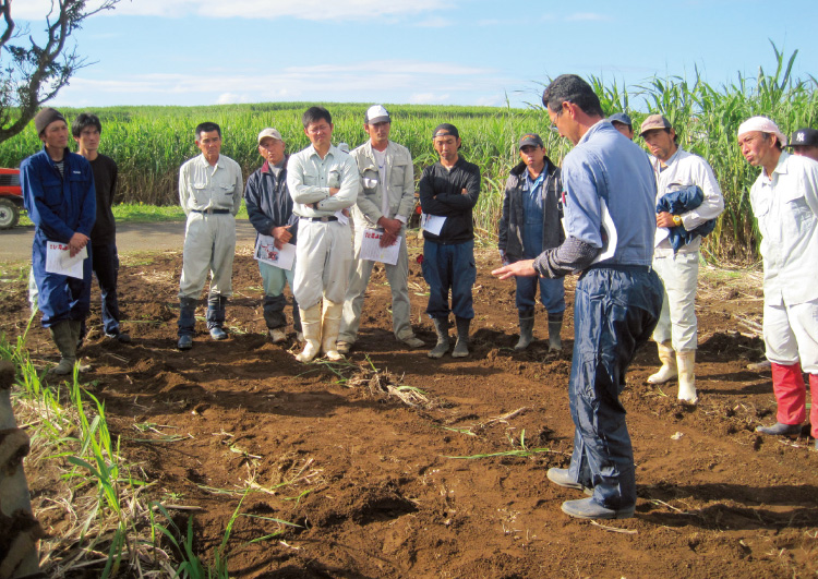 「TOPS3000」は1市2町それぞれで支部を作り、経営や耕作の技術向上のための情報共有などを進めている。
