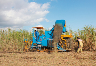 支援組織を利用して機械化を推進、機械刈りが85パーセントほどまで進んだ。
