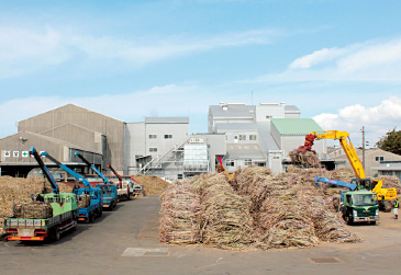 島にある製糖工場。