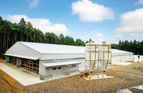 写真のウインドレス鶏舎1棟、セミウインドレス鶏舎2棟、ほか6棟で年間52万羽を出荷。