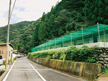山に囲まれ、自然の中に立つ鶏舎。