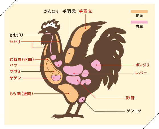 焼き鳥と主な部位