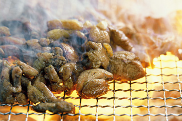 地鶏炭火焼 〈宮崎県〉