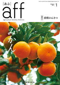 2017年1月号