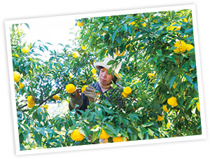 有限会社柚冬庵(徳島県)榊野瑞恵さん