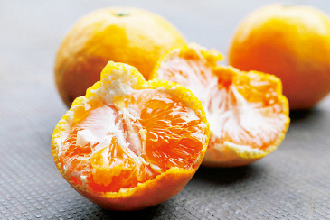 近年人気が高まっている極早生の品種「ゆら早生」。袋(じょうのう)が薄く、多汁で甘みが強い。稲住さんは約100アールで栽培している。