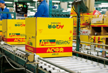 JAありだの直営選果場「AQ中央選果場」で選別され、倉庫へと向かうみかん。「AQ」(=Arida Quality)は、高品質であることの証。