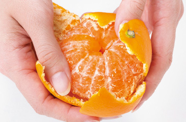 みかんの外皮は、ヘタの方からむいた方が白い筋（アルベド）を取りやすい。ただし、この筋は食物繊維が豊富でビタミンPなどの栄養素が多く含まれている。