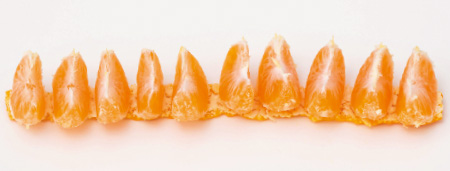 うまくいったら、このように実を並べることができる。