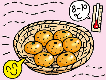 風通しがよい場所に重ねずに置く