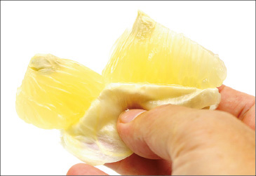 文旦や八朔などの袋の厚いみかんは、房の袋をむいて実だけを取り出して食べる。