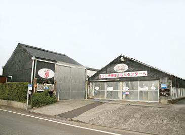 直売所が展示温室となっている、座間洋らんセンター。ほかでは見ることのできないコチョウランが多数並ぶ。