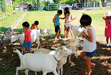 地域振興部門 農業生産法人株式会社あいあいファーム（沖縄県）