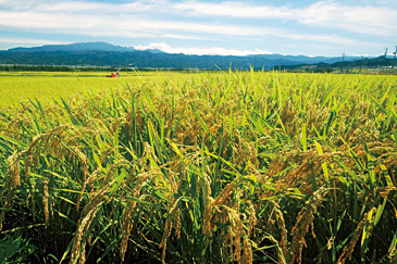 ［山形県］鶴岡市 鶴岡食文化創造都市推進協議会