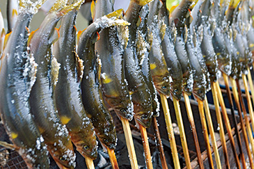 ［岐阜県］馬瀬（まぜ）地域 馬瀬地方自然公園づくり委員会