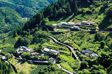 ［徳島県］にし阿波（あわ）地域 一般社団法人そらの郷（さと）