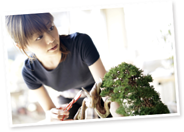 盆栽修業生 森 友美さん