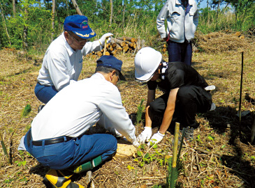 いわき市「釜の台国有林」でクロマツのコンテナ苗500本を植樹。