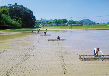 高知県 幡多(はた)農業高校