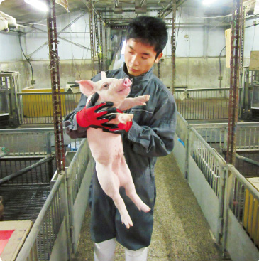 宮崎県 高鍋農業高校