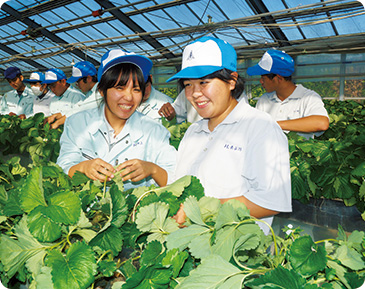茶や野菜、花き、果樹の栽培や販売のスペシャリストを育てる。