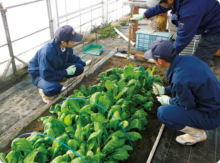 ［岩手県］遠野緑峰（とおのりょくほう）高校