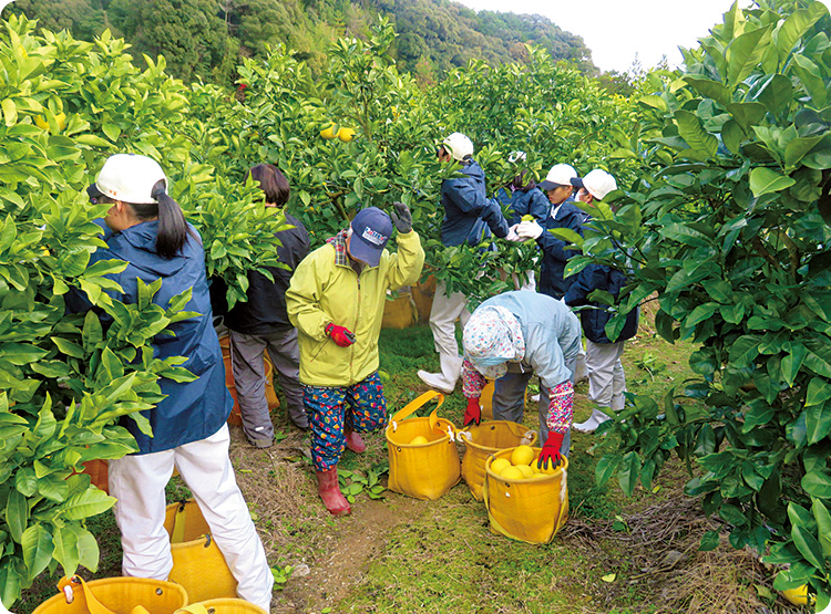 ［高知県］幡多（はた）農業高校