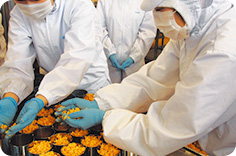 学校で生産された牛乳から作った乳製品が充実