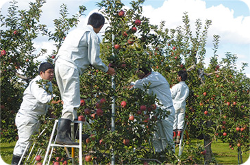 青森県 柏木農業高校