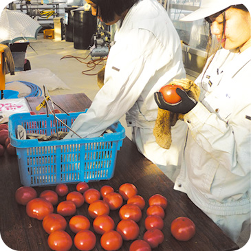 愛知県 安城（あんじょう）農林高校