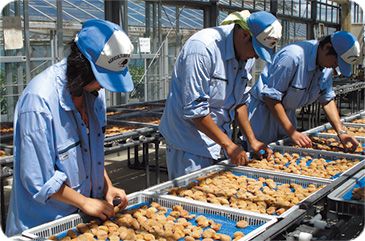 和歌山県 南部（みなべ）高校
