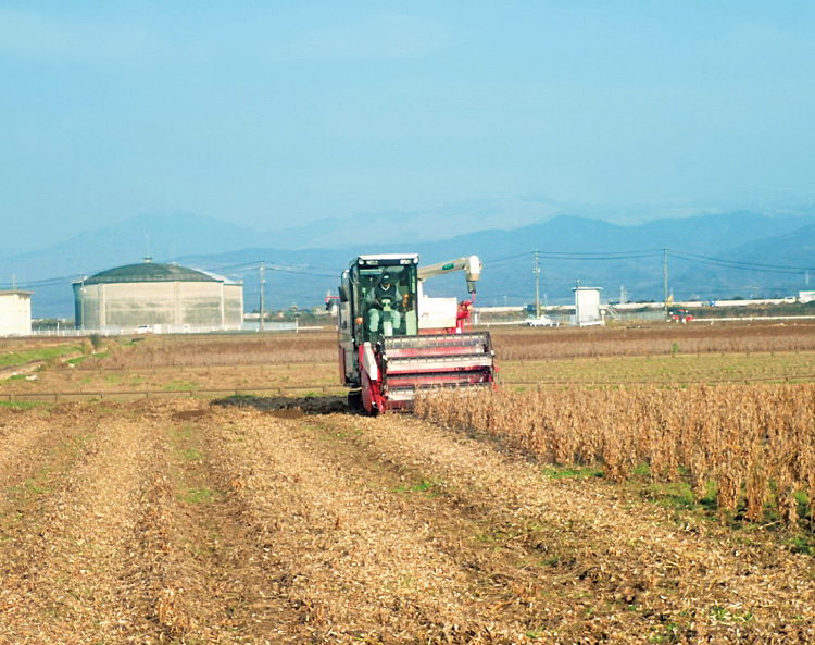 水稲から大豆に転換をした水田での収穫風景。