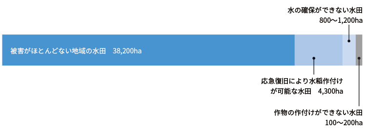 ほとんどの水田で作付けが可能