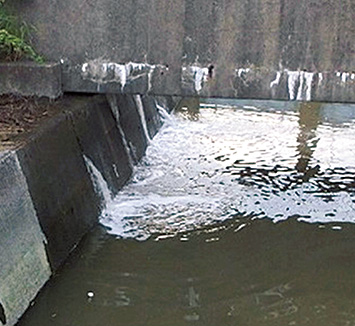 地震により堤体から海水が漏水している堤防