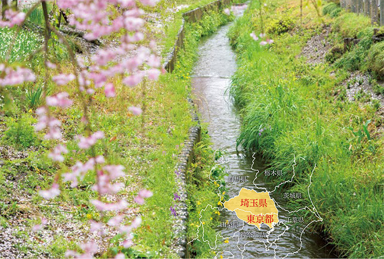 東京都立川市から埼玉県志木市へと続く野火止用水
