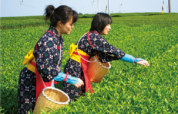 夏も近づく八十八夜