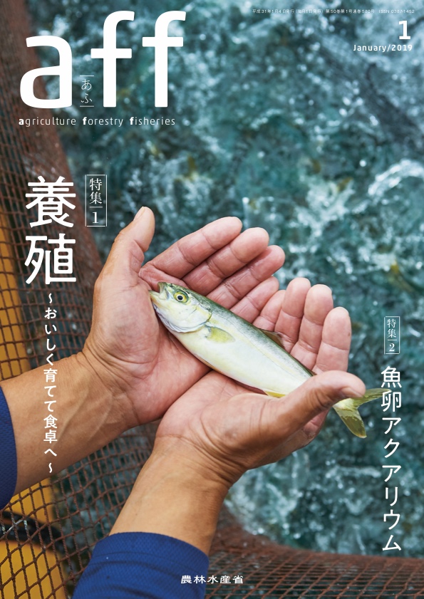 2019年1月号