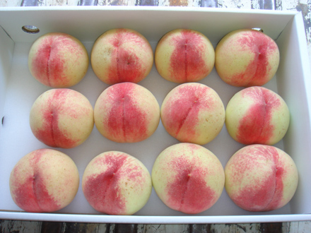 主な栽培品種は、まさひめ、はなよめ、日川白鳳、白鳳、清水白桃。糖度が高いと、表面がピンクではなくクリーム色になる。