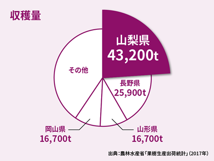 ぶどうの品種別栽培面積