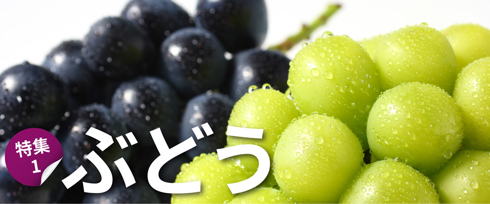 特集1 ぶどう