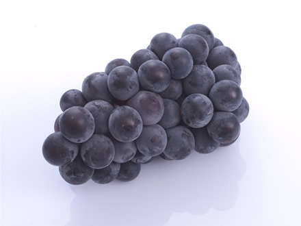 キャンベル・アーリー