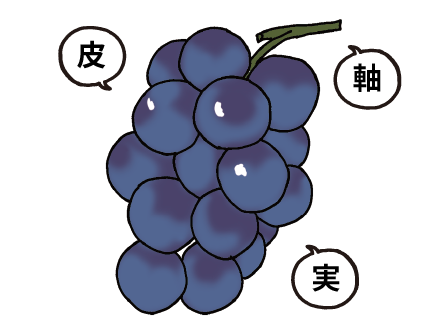 食べ頃の見分け方