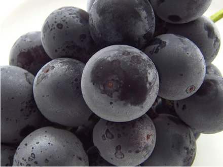 皮についている白い粉は?