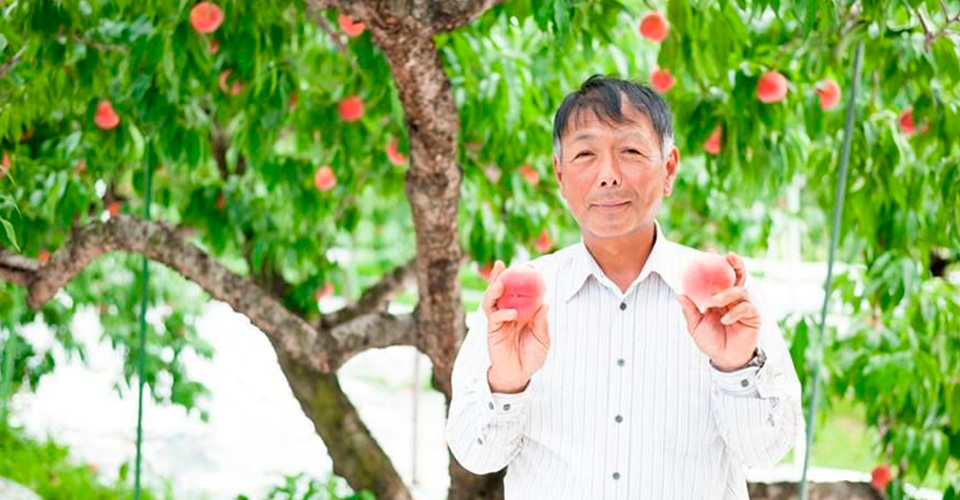 菱沼農園は、福島県福島市飯坂町にある農業法人。