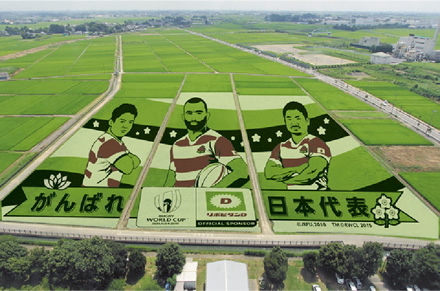 2019年は、ラグビー日本代表を応援する田んぼアートを大正製薬と共同制作する予定（写真はイメージ）。